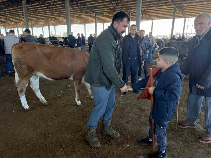 Iğdır’da kurban pazarlıkları sürüyor: Vatandaş küçükbaşa yöneldi