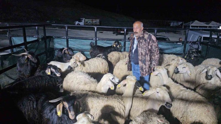 Elazığ’da kurban pazarında uykusuz mesai: Geceyi hayvanlarının başında geçiriyorlar
