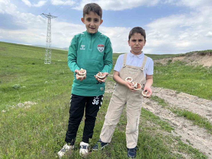 Kars’ta mantar bereketi: Çocuklar doğada hem eğlendi hem topladı