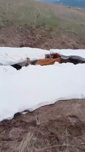 karsta-sira-disi-kurtarma-operasyonu-6.jpg