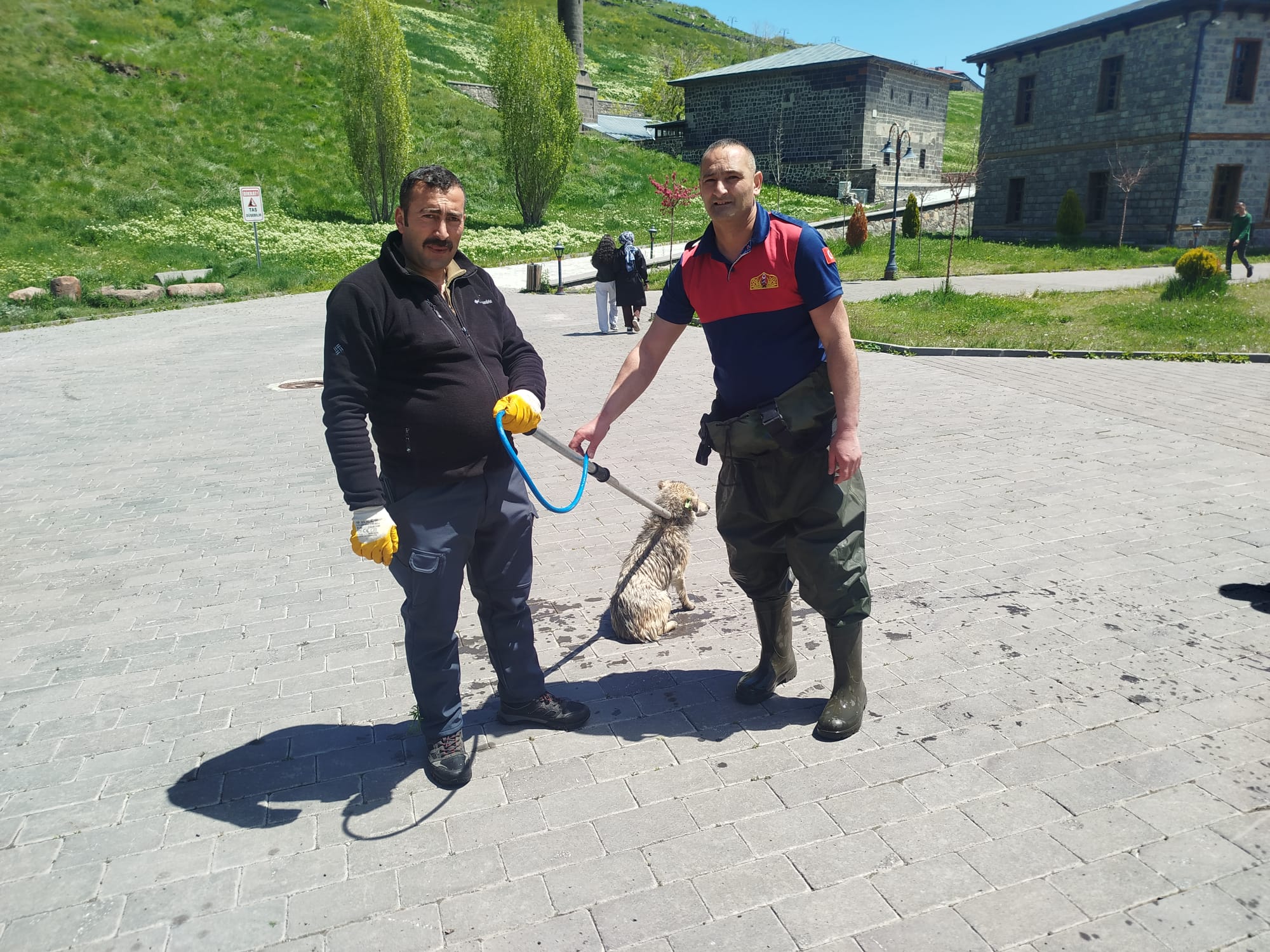 kars-cayina-dusen-kopek-icin-seferberlik-itfaiye-ekipleri-kurtardi-1.jpg