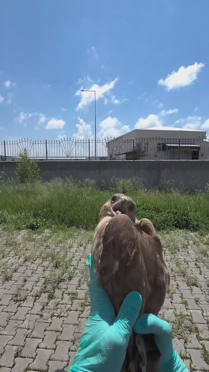 bugun-ozgurlugune-yolculadigimiz-hastamiz-06-05-2026-tarihinde-arac-carpmasi-sonucu-duyarli-vata-mp4-snapshot-00-03-005.jpg