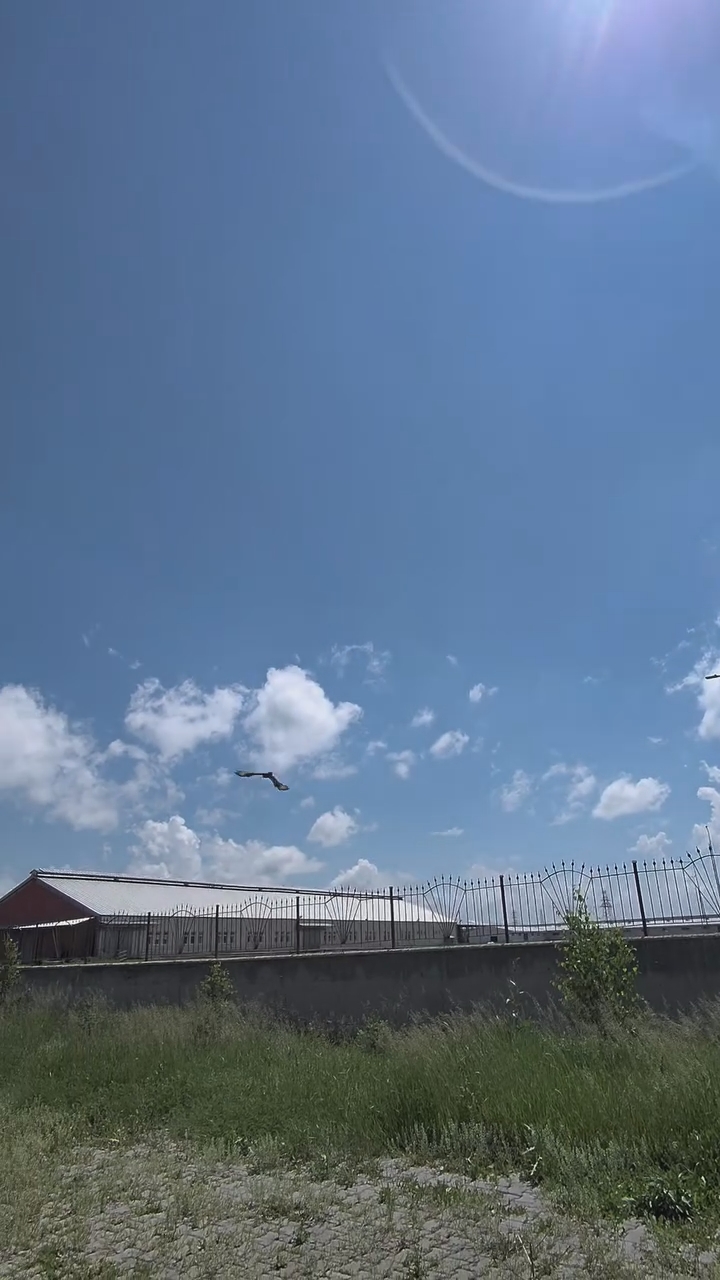 bugun-ozgurlugune-yolculadigimiz-hastamiz-06-05-2026-tarihinde-arac-carpmasi-sonucu-duyarli-vata-mp4-snapshot-00-20-795.jpg