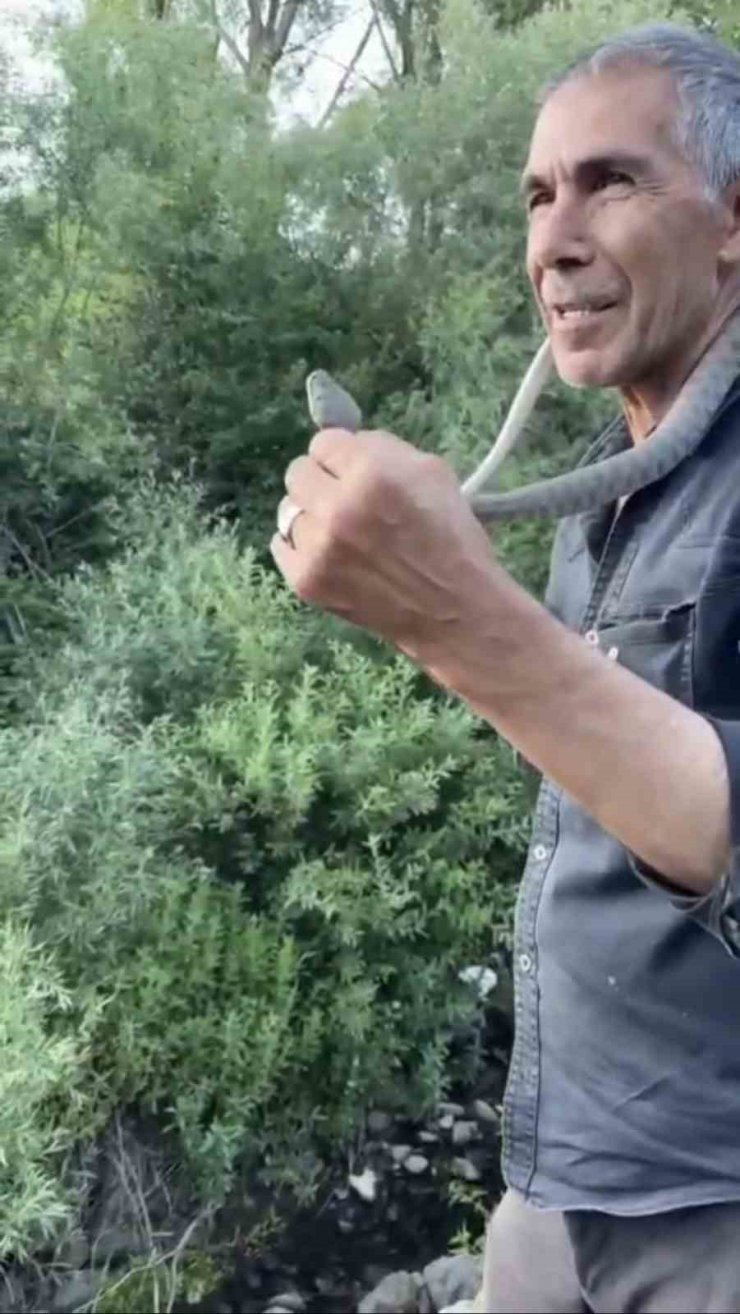 Zehirli engerek yılanını yakalayıp boynuna doladı: "Benim yaptığımı yapmayın"