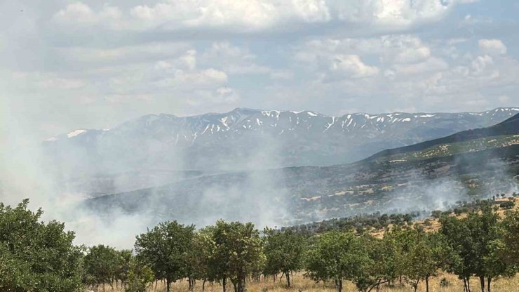 Bingöl’de çıkan orman yangını büyümeden kontrol altına alındı