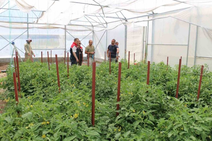 Erzincan’da seracılık yatırımları üretimi artırıyor