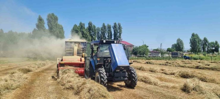 Hasköy’de çiftçilerin kışlık yem mesaisi sürüyor