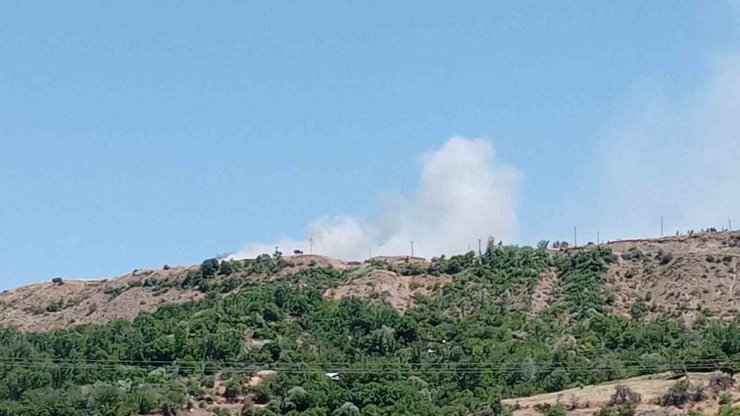 Elazığ’da arazi yangını