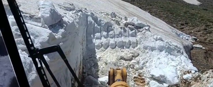 Bingöl’de ilginç görüntü: Yazın ortasında; bir yanda kar, diğer yanda sıcaktan bunalan inekler