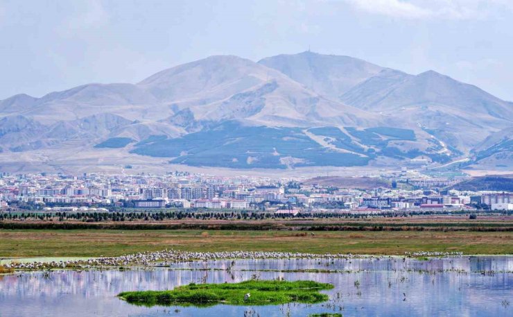 Amerika’nın Erzurum mesaisi: Yüzyıllık belge gün yüzüne çıktı
