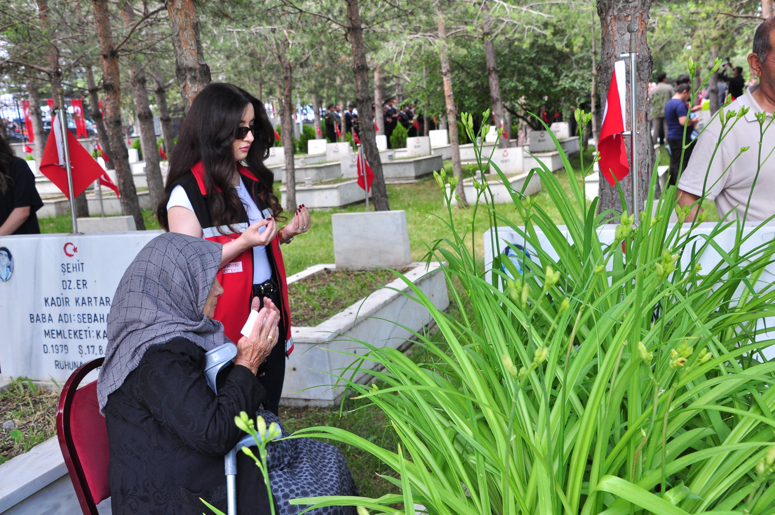 dsc-0711.jpg