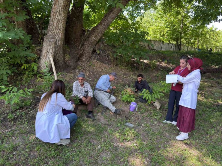 Hakkari’de kanser taraması