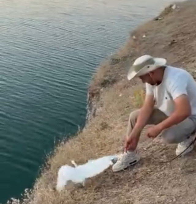 Malatya’da oltaya balık yerine martı takıldı