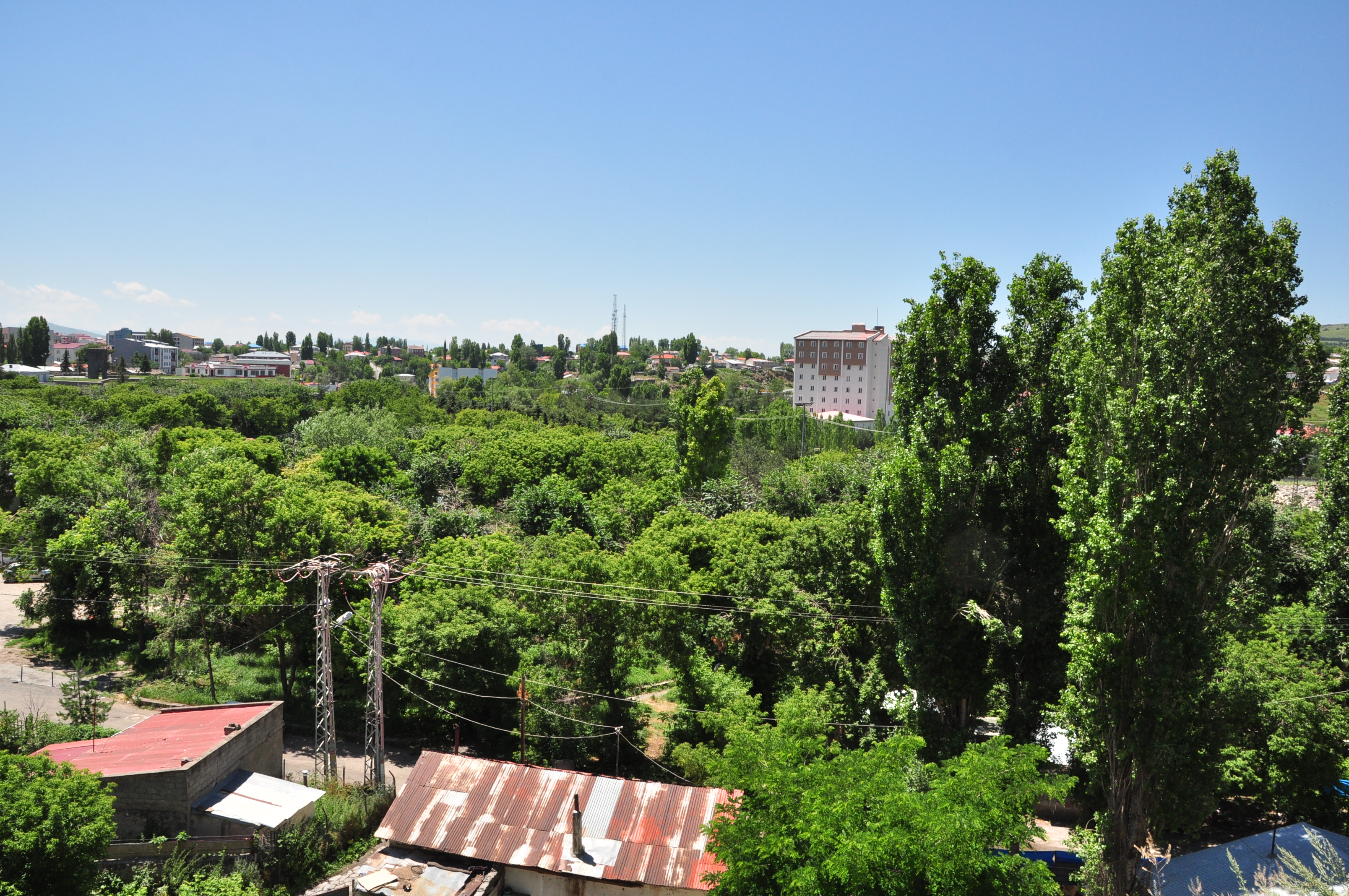 dsc-0886.jpg