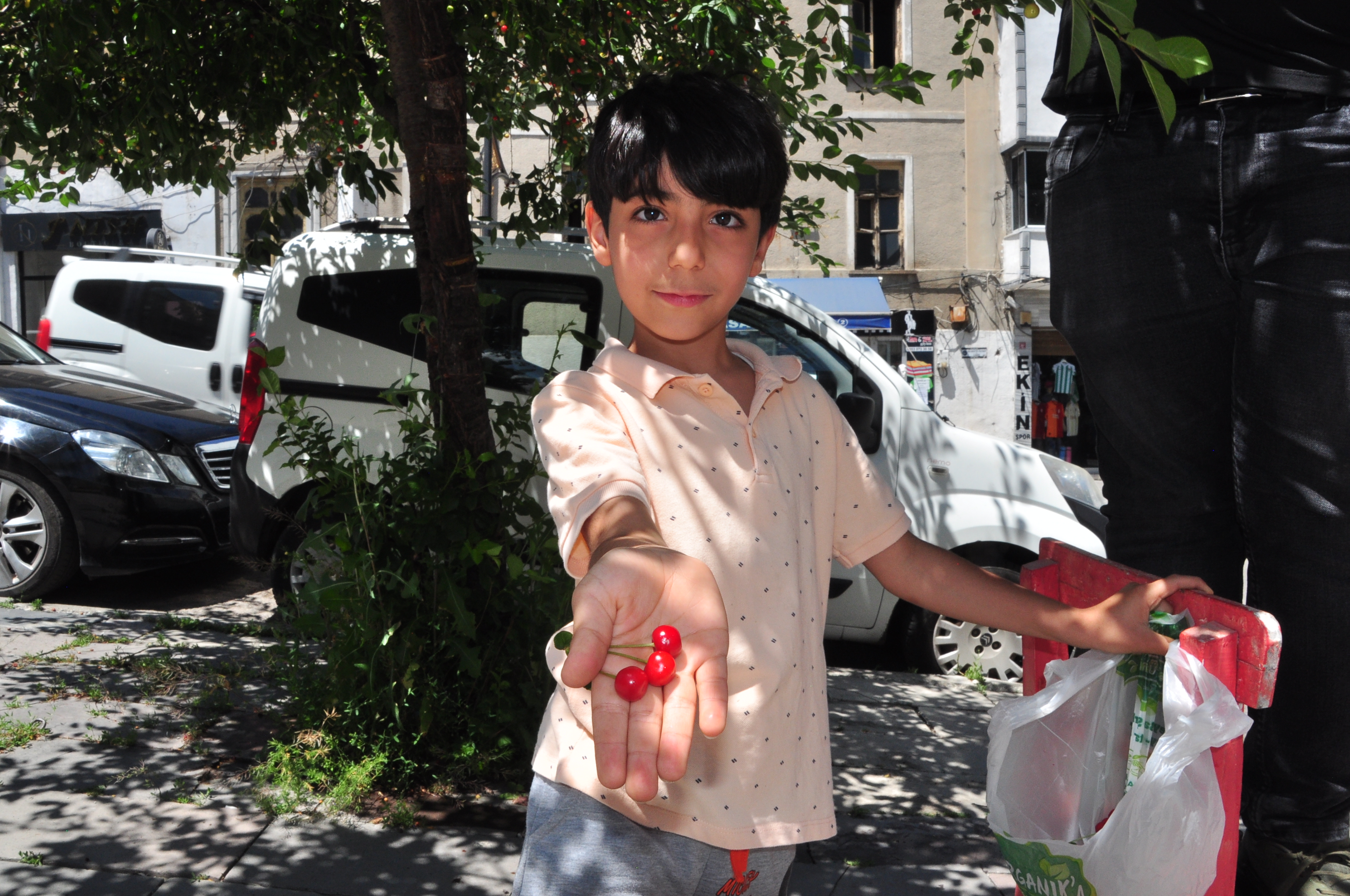 dsc-0919.jpg