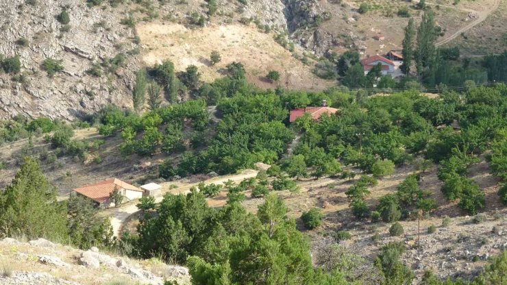 Kayıp kadının cenazesi için bin 600 rakımlı dağda arama sürüyor