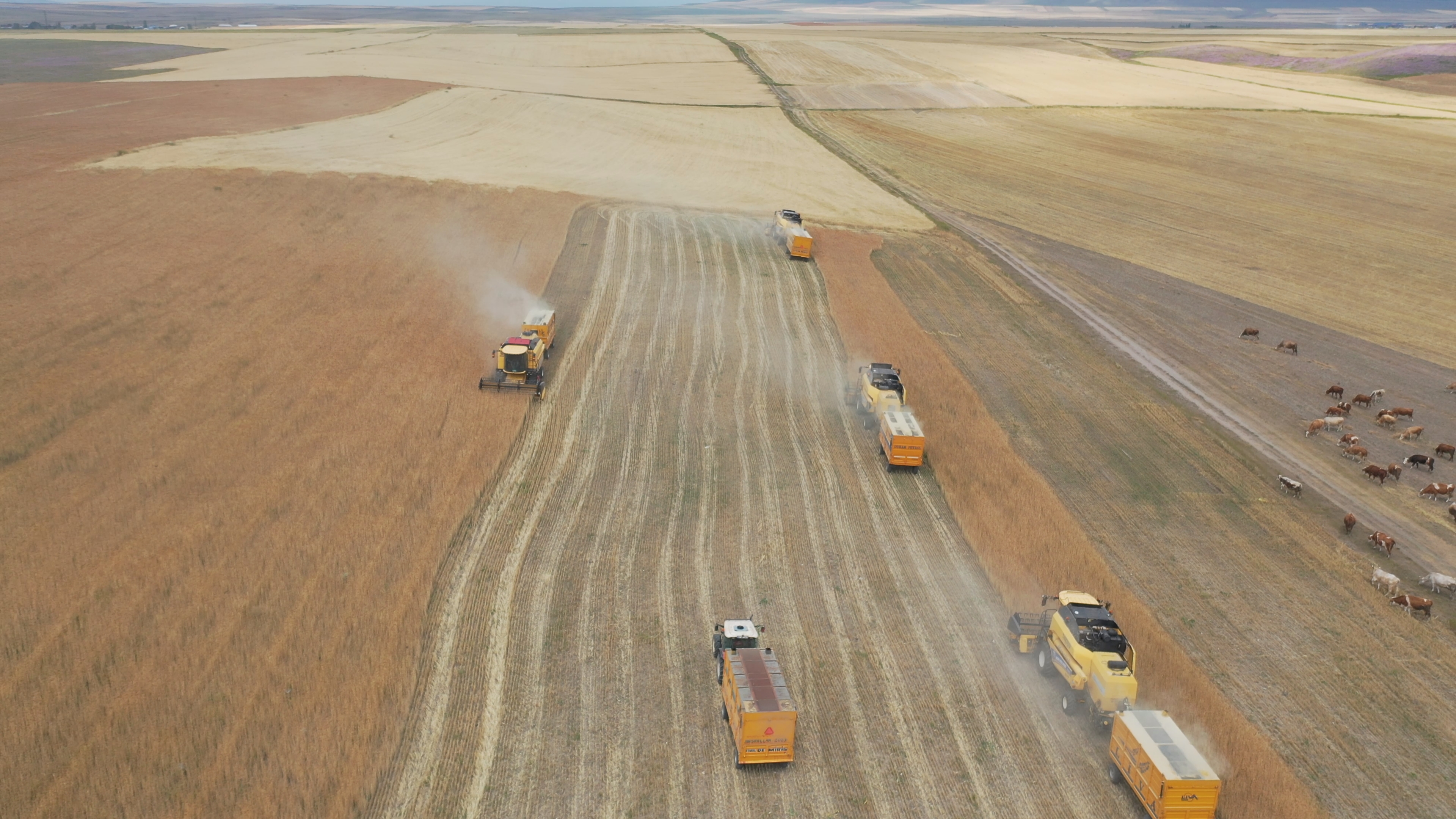 dji-0040-mp4-snapshot-00-02-195.jpg