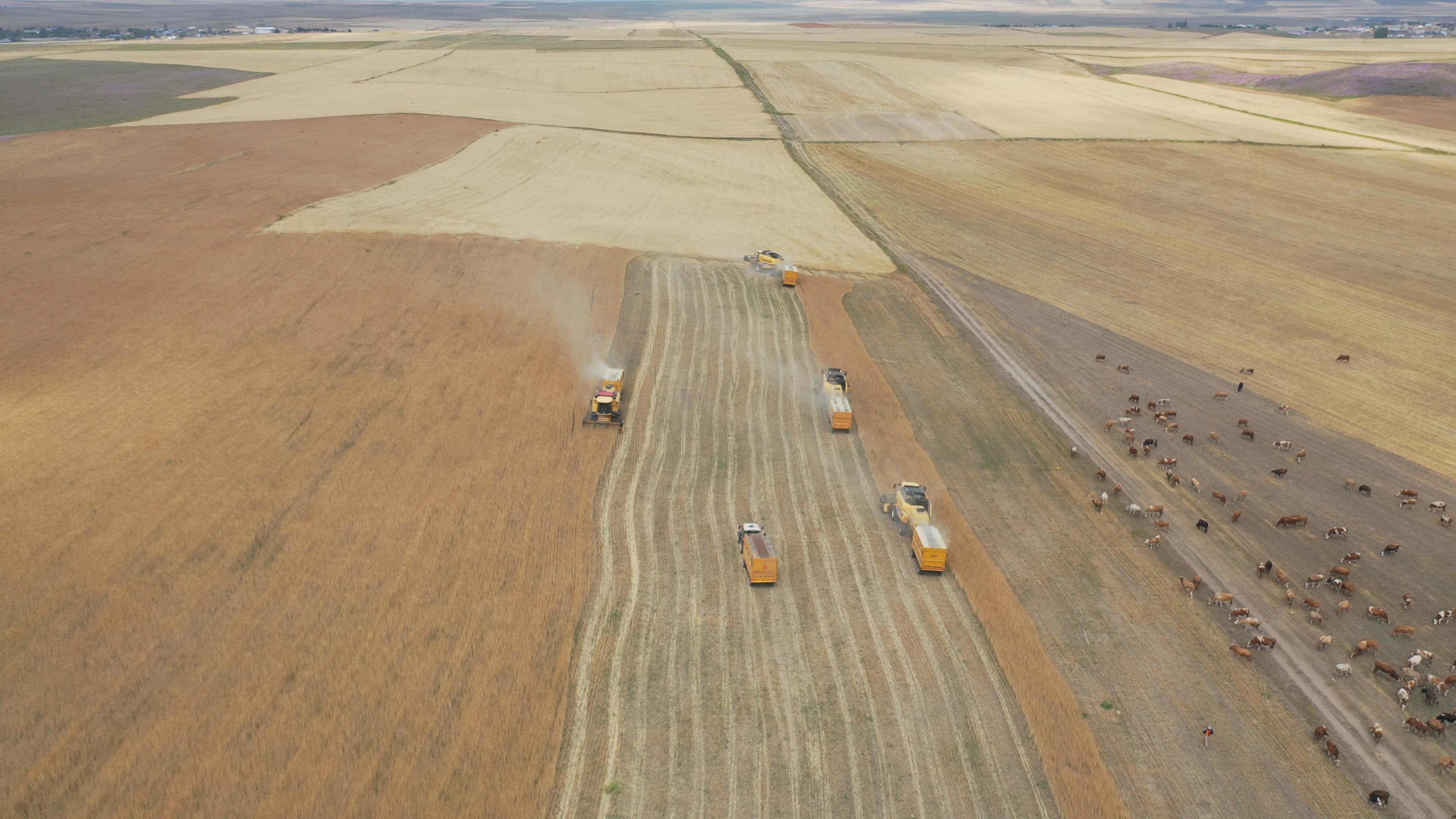 dji-0040-mp4-snapshot-00-13-086.jpg