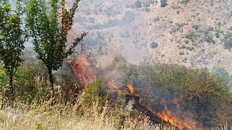 Malatya’da meyve bahçesi ve üzüm bağlarında yangın
