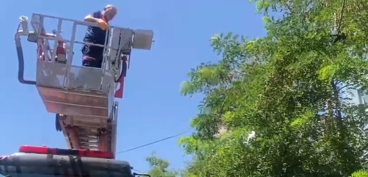 Ayağına dolanan ip kargayı mahsur bıraktı, itfaiye kurtardı