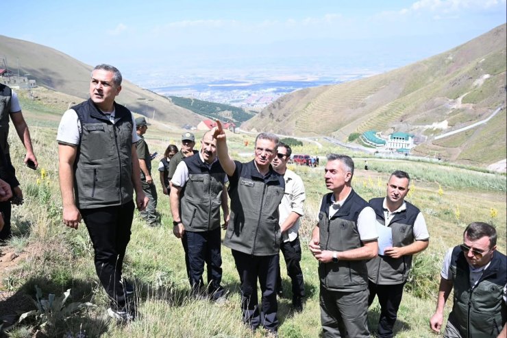 Palandöken’in orman varlığına inceleme