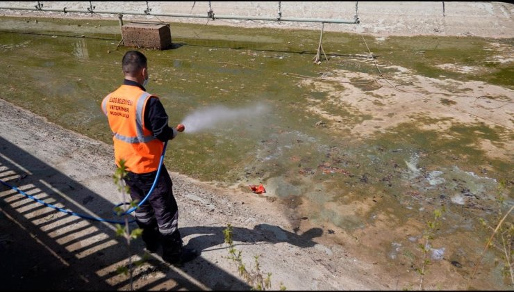 Elazığ’da İlaçlama çalışmaları sürüyor