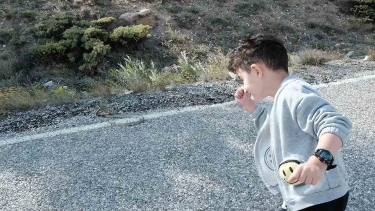 Erzincan’da minik çocuk ilk kez yılanla karşılaştı: Şaşkınlıkla baktı, cesaretle izledi