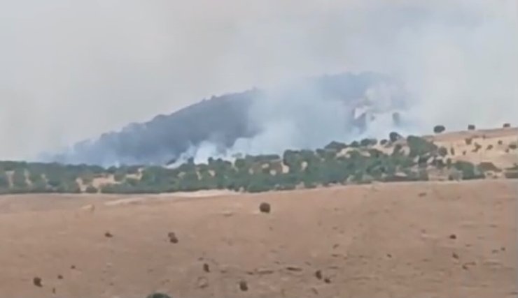 Pütürge’de orman ve örtü yangını