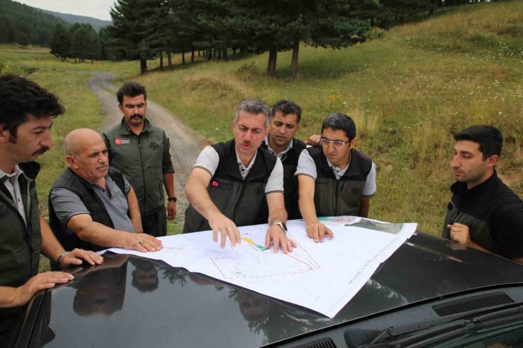 Sarıkamış’ta orman çalışmaları masaya yatırıldı: Bölge Müdürü Karakurt’tan sahalarda inceleme