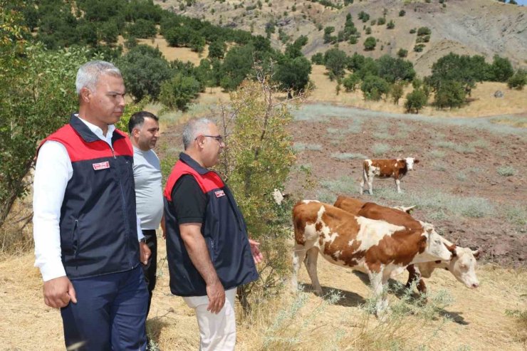 Elazığ’ Kırsalda Bereket, Hayvancılığa Destek Projesi sürüyor