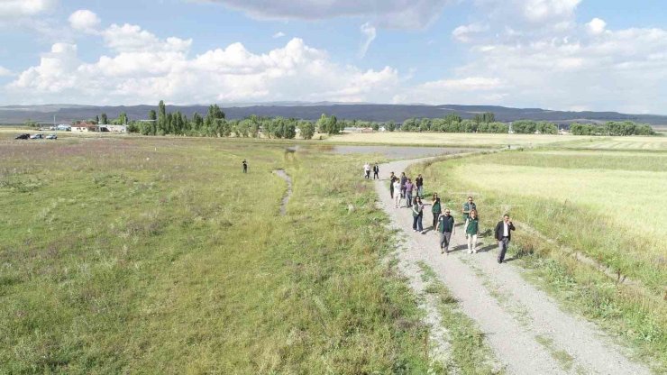 Kars ve Ardahan’da 52 bin hektarlık alanda arazi toplulaştırma incelemesi