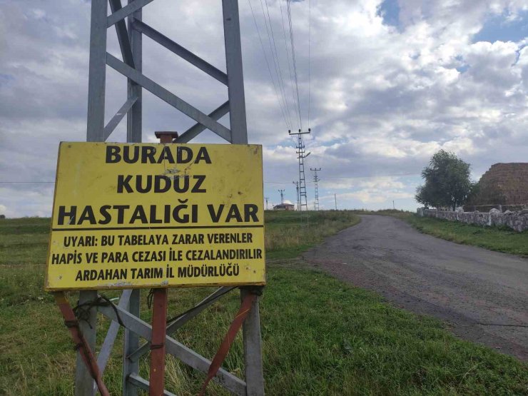 Kuduz nedeniyle mahalleye giriş çıkışlar yasaklandı