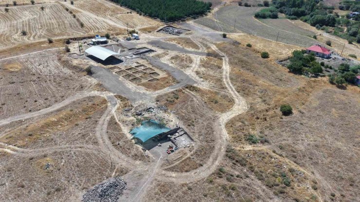 Tarlada fidan dikerken bulunan mozaiğin ardından dev yerleşim gün yüzüne çıktı