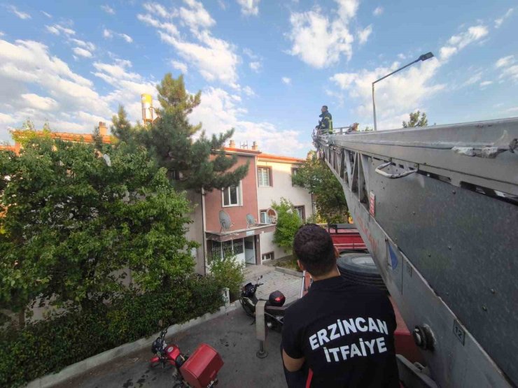 Erzincan’da çatıdaki kedi itfaiye ekiplerince kurtarıldı