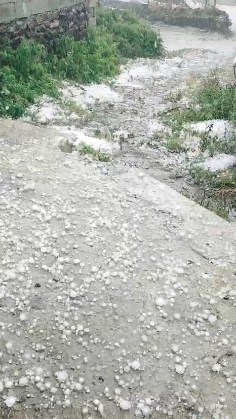 Ardahan’da dolu yağışı etkili oldu