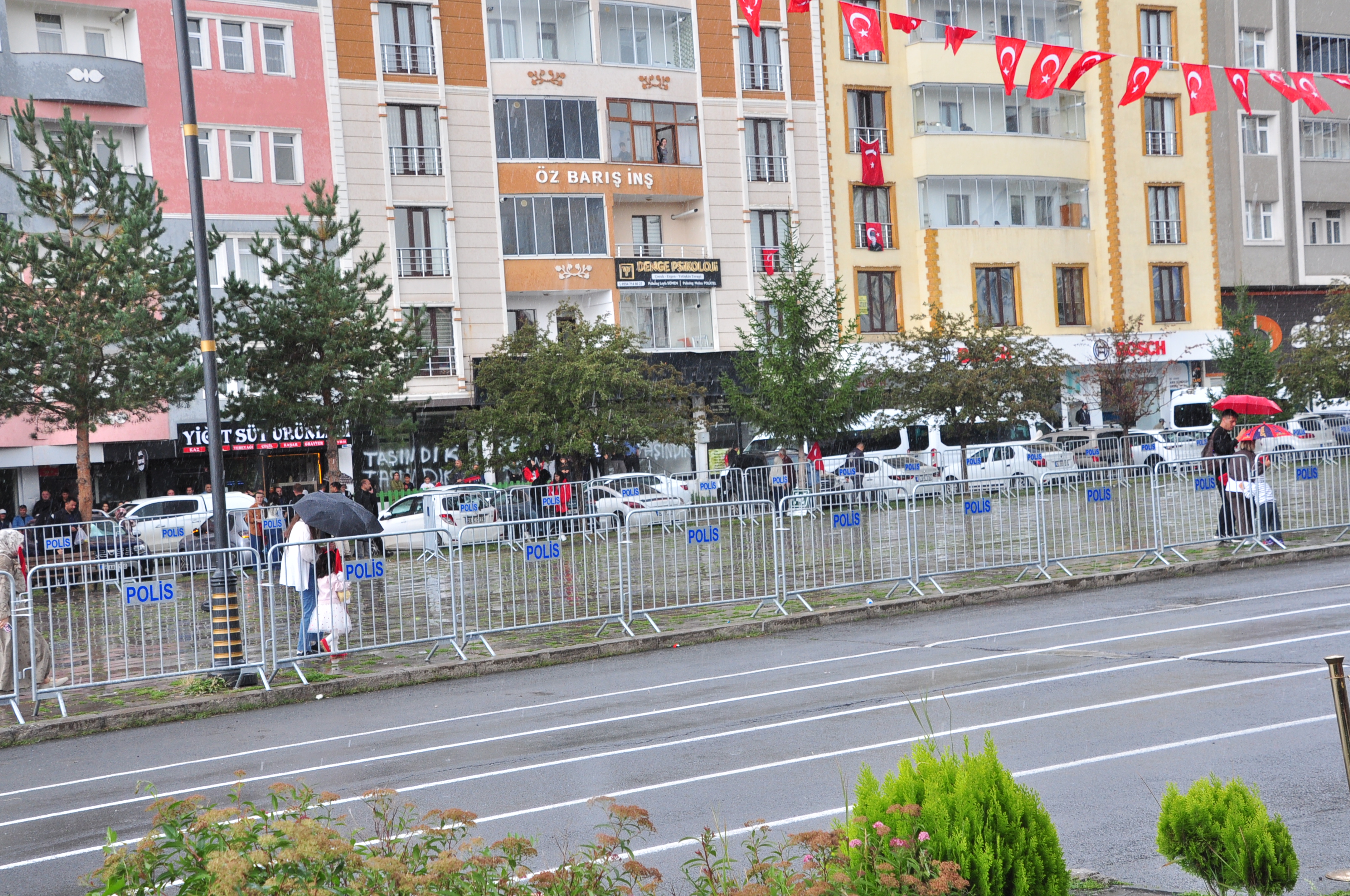dsc-0377.jpg