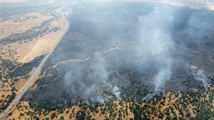 Elazığ’da kırsalda başlayan yangın ormanlık alana sıçradı: Müdahale sürüyor