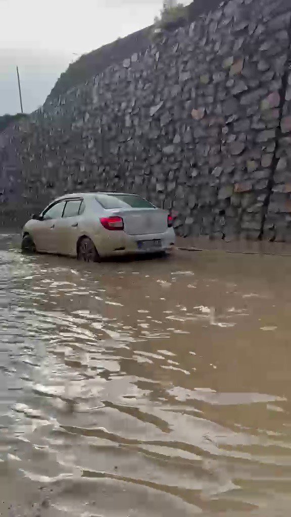 Erzurum-Artvin Karayolunda sel: Dereler taştı, bir araç mahsur kaldı