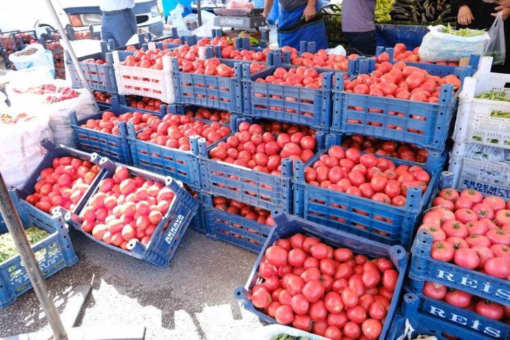 Erzincan’da salçalık domates ve biberler tezgahlarda