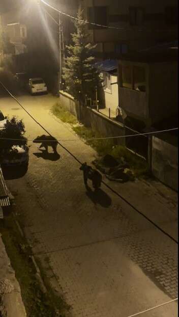 aw788493-04