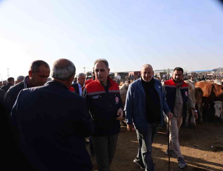 Kars Hayvan Pazarı’nda sıkı denetim: Hayvan hareketliliğine sağlık ve güvenlik filtresi