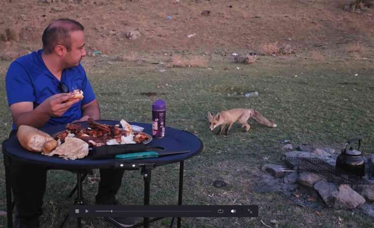 Bitlis’te piknik sofrasına davetsiz misafir