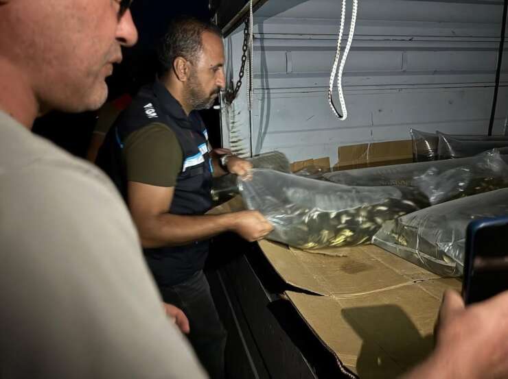 Bitlis’te göl ve göletlere 1 milyon 397 bin 500 yavru sazan bırakıldı