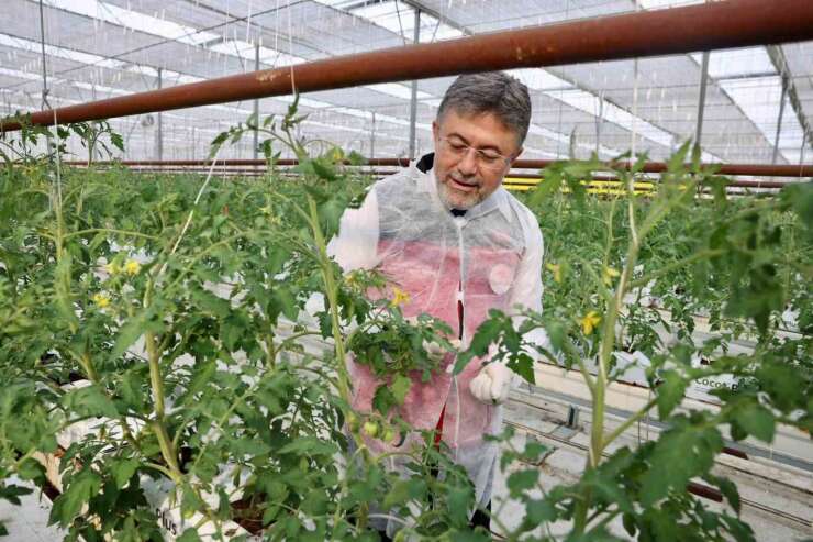 Bakan Yumaklı’dan Erzincan’da jeotermal sera mesajı
