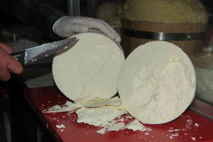 Erzincan Tulum Peyniri toz forma taşınıyor