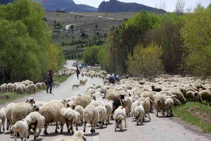 Erzincan’da yaylacılar, 5 aylık sezonun ardından dönüş yolculuğuna başladı