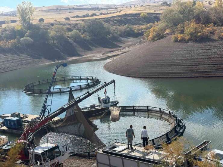 Tercan Baraj Gölü’nde su ürünleri üretimi büyüyor