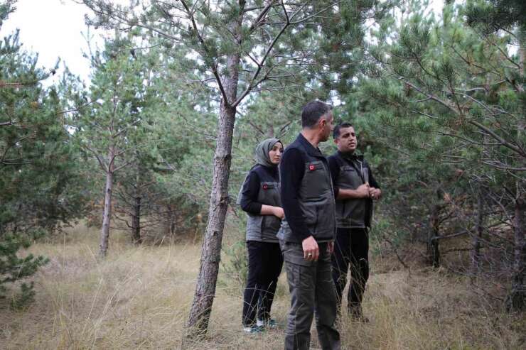 Kars’a yeni yeşil yaşam alanı geliyor: Kent ormanı için düğmeye basıldı