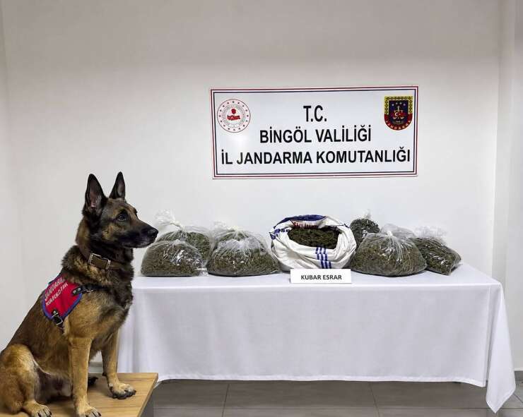 Bingöl’de jandarmadan bir haftada 25 olaya müdahale
