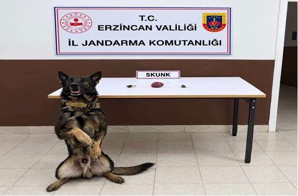 Erzincan’da bonzai hammaddesi ve skunk ele geçirildi